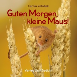 Guten Morgen, kleine Maus! von Vahldiek,  Carola