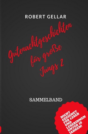 Gutenachtgeschichten für große Jungs 2 von Gellar,  Robert