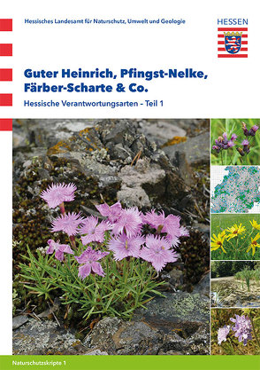 Guter Heinrich, Pfingst-Nelke, Färber-Scharte & Co