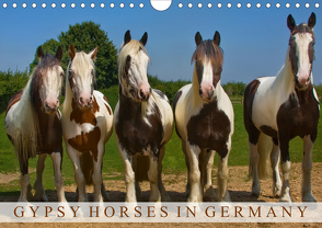 Gypsy Horses (Wandkalender 2021 DIN A4 quer) von weh-zet