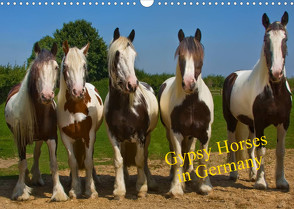 Gypsy Horses (Wandkalender 2022 DIN A3 quer) von weh-zet