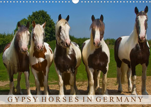 Gypsy Horses (Wandkalender 2023 DIN A3 quer) von weh-zet