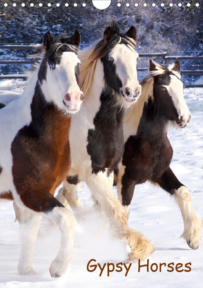 Gypsy’s (Wandkalender 2020 DIN A4 hoch) von Wejat-Zaretzke,  Gabriela