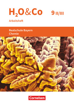 H2O & Co – Realschule Bayern 2020 – 9. Schuljahr – Wahlpflichtfächergruppe II-III von Eiblmeier,  Christian, Kring,  Petra, Niedermeier,  Matthias, Pfeifer,  Peter, Pillat,  Frieda, Römpp,  Martin, Schaffer,  Susanne, Sommer,  Katrin, Thefeld,  Armin