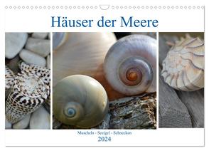 Häuser der Meere: Muscheln – Seeigel – Schnecken (Wandkalender 2024 DIN A3 quer), CALVENDO Monatskalender von Grobelny,  Renate