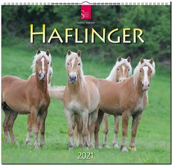 Haflinger von Stuewer,  Sabine