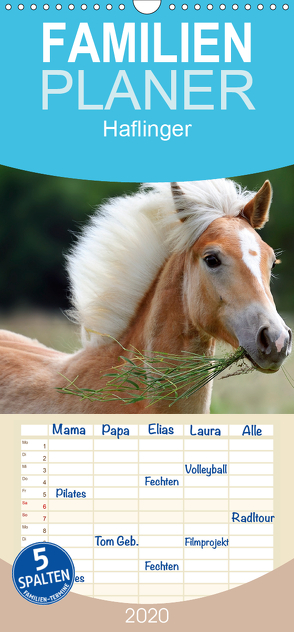 Haflinger – Familienplaner hoch (Wandkalender 2020 , 21 cm x 45 cm, hoch) von Noack,  Nicole