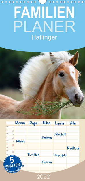 Familienplaner Haflinger (Wandkalender 2022 , 21 cm x 45 cm, hoch) von Noack,  Nicole