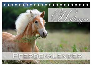 Haflinger / Geburtstagskalender (Tischkalender 2024 DIN A5 quer), CALVENDO Monatskalender von Noack,  Nicole