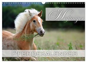 Haflinger / Geburtstagskalender (Wandkalender 2024 DIN A3 quer), CALVENDO Monatskalender von Noack,  Nicole