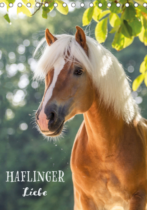 Haflinger Liebe (Tischkalender 2019 DIN A5 hoch) von Pixel Nomad,  The, Zahorka,  Cécile