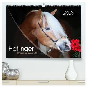 Haflinger-Pferde in Reinzucht (hochwertiger Premium Wandkalender 2024 DIN A2 quer), Kunstdruck in Hochglanz von Natural-Golden.de,  Natural-Golden.de