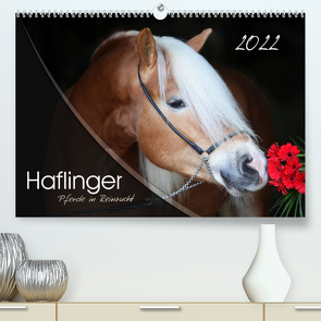 Haflinger-Pferde in Reinzucht (Premium, hochwertiger DIN A2 Wandkalender 2022, Kunstdruck in Hochglanz) von Natural-Golden.de