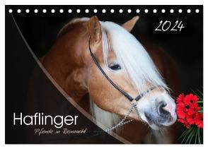 Haflinger-Pferde in Reinzucht (Tischkalender 2024 DIN A5 quer), CALVENDO Monatskalender von Natural-Golden.de,  Natural-Golden.de