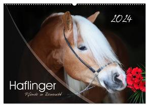 Haflinger-Pferde in Reinzucht (Wandkalender 2024 DIN A2 quer), CALVENDO Monatskalender von Natural-Golden.de,  Natural-Golden.de