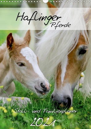 Haflinger Pferde – Stall- und Familienplaner 2021 (Wandkalender 2021 DIN A3 hoch) von Natural-Golden.de