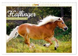 Haflinger: Robuste Freizeitpferde – Edition Lichtfänger (Wandkalender 2024 DIN A3 quer), CALVENDO Monatskalender von CALVENDO,  CALVENDO