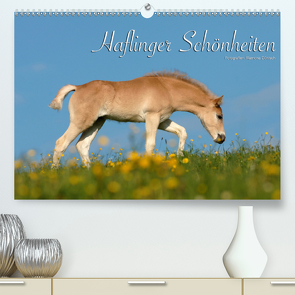 Haflinger Schönheiten (Premium, hochwertiger DIN A2 Wandkalender 2020, Kunstdruck in Hochglanz) von Dünisch - www.Ramona-Duenisch.de,  Ramona