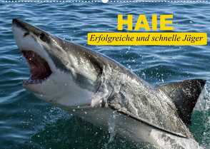 Haie. Erfolgreiche und schnelle Jäger (Wandkalender 2023 DIN A2 quer) von Stanzer,  Elisabeth