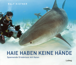 Haie haben keine Hände – Spannende Erlebnisse mit Haien von Kiefner,  Ralf