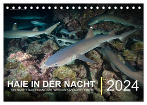 Haie in der Nacht (Tischkalender 2024 DIN A5 quer), CALVENDO Monatskalender von Hubo - feel4nature,  Christian