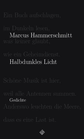 Halbdunkles Licht von Hammerschmitt,  Marcus