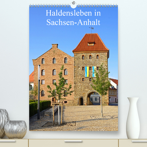 Haldensleben in Sachsen-Anhalt (Premium, hochwertiger DIN A2 Wandkalender 2021, Kunstdruck in Hochglanz) von Bussenius,  Beate