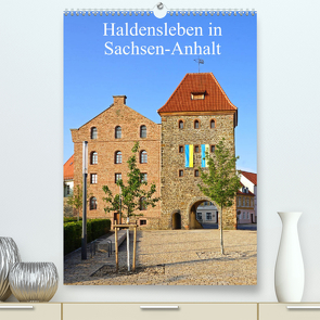 Haldensleben in Sachsen-Anhalt (Premium, hochwertiger DIN A2 Wandkalender 2022, Kunstdruck in Hochglanz) von Bussenius,  Beate