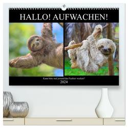 Hallo! Aufwachen! Kann bitte mal jemand das Faultier wecken? (hochwertiger Premium Wandkalender 2024 DIN A2 quer), Kunstdruck in Hochglanz von Hurley,  Rose