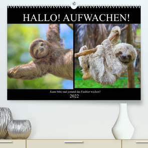 Hallo! Aufwachen! Kann bitte mal jemand das Faultier wecken? (Premium, hochwertiger DIN A2 Wandkalender 2022, Kunstdruck in Hochglanz) von Hurley,  Rose