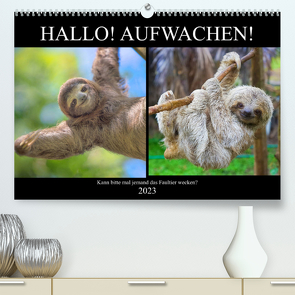 Hallo! Aufwachen! Kann bitte mal jemand das Faultier wecken? (Premium, hochwertiger DIN A2 Wandkalender 2023, Kunstdruck in Hochglanz) von Hurley,  Rose