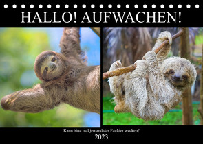 Hallo! Aufwachen! Kann bitte mal jemand das Faultier wecken? (Tischkalender 2023 DIN A5 quer) von Hurley,  Rose