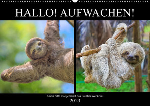 Hallo! Aufwachen! Kann bitte mal jemand das Faultier wecken? (Wandkalender 2023 DIN A2 quer) von Hurley,  Rose