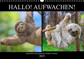 Hallo! Aufwachen! Kann bitte mal jemand das Faultier wecken? (Wandkalender 2023 DIN A3 quer) von Hurley,  Rose