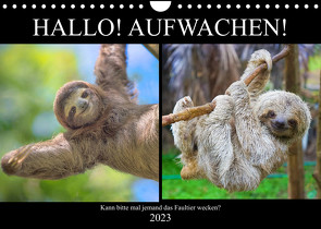 Hallo! Aufwachen! Kann bitte mal jemand das Faultier wecken? (Wandkalender 2023 DIN A4 quer) von Hurley,  Rose