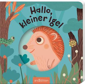 Hallo, kleiner Igel von Attiogbé,  Magali