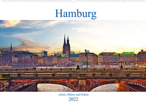 Hamburg sehen, fühlen und lieben (Wandkalender 2022 DIN A2 quer) von Michalzik,  Paul