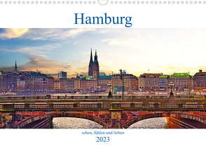 Hamburg sehen, fühlen und lieben (Wandkalender 2023 DIN A3 quer) von Michalzik,  Paul