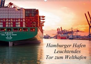 Hamburger Hafen – Leuchtendes Tor zum Welthafen (Wandkalender 2020 DIN A2 quer) von F. Selbach,  Arthur