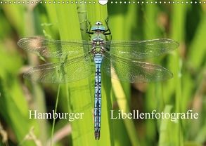 Hamburger Libellenfotografie (Wandkalender 2018 DIN A3 quer) von Brix,  Matthias