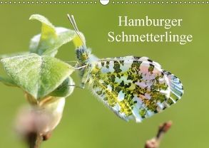 Hamburger Schmetterlinge (Wandkalender 2018 DIN A3 quer) von Brix,  Matthias