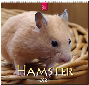 Hamster