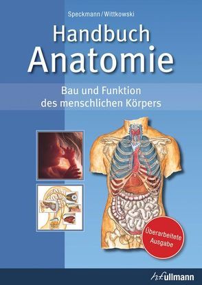 Handbuch Anatomie von Speckmann,  Erwin-Josef, Wittkowski,  Werner