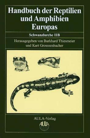 Handbuch der Reptilien und Amphibien Europas von Böhme,  Wolfgang, Grossenbacher,  Kurt, Thiesmeier,  Burkhard