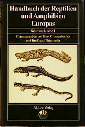 Handbuch der Reptilien und Amphibien Europas von Arntzen,  J W, Böhme,  Wolfgang, Borkin,  Leo, Clergue-Gazeau,  Monique, Grossenbacher,  Kurt, Teunis,  S F, Thiesmeier,  Burkhardt