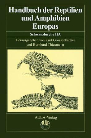 Handbuch der Reptilien und Amphibien Europas von Böhme,  Wolfgang, Grossenbacher,  Kurt, Thiesmeier,  Burkhard