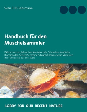 Handbuch für den Muschelsammler von Gehrmann,  Sven Erik