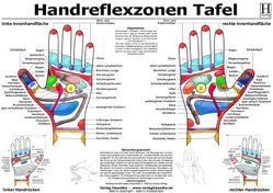 Handreflexzonen Tafel – A3 (laminiert) von Hawelka Verlag