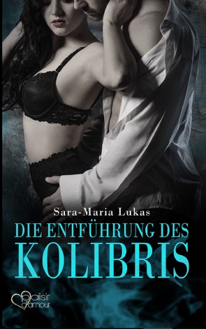 Hard & Heart 1: Die Entführung des Kolibris von Lukas,  Sara-Maria