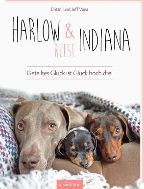 Harlow, Indiana & Reese von Vega,  Brittni und Jeff